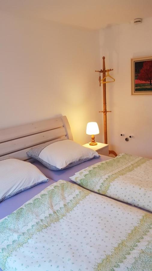 Ferienwohnung Haus Edeltraud Im Suedschwarzwald, Grosse, Helle, Ruhige Souterrain-Whg, Hunde Geeignet, Mit 2 Fahrraedern, 3 Baeckereien Mit Fruehstueck, 2 Lebensmittel-, 1 Italien-Pastalaeden, Kontakt Peter Heubueschl Aus Loerrach Rheinfelden  Exterior photo